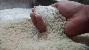 Harga Beras hingga Jagung Kompak Turun, Tekanan Pangan Nasional Kian Melandai