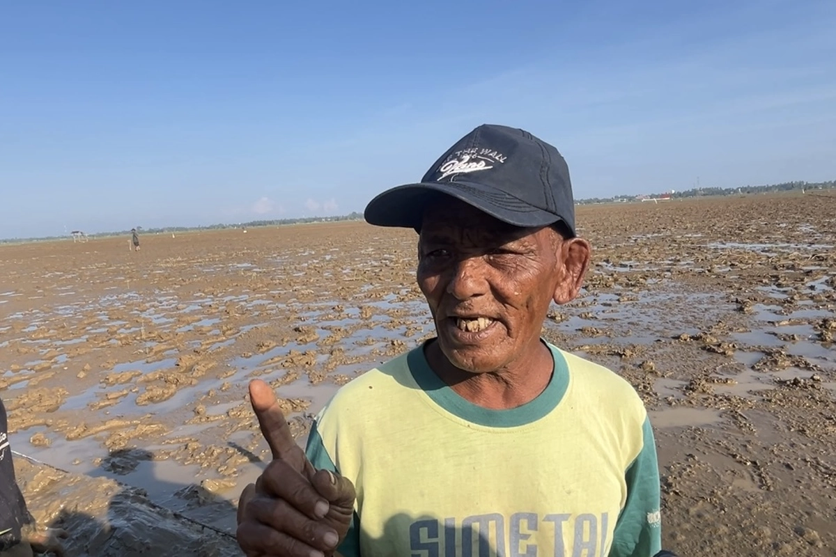 Memupuk Tekad Petani Aceh Kembali Menanam Setelah Banjir Bandang
