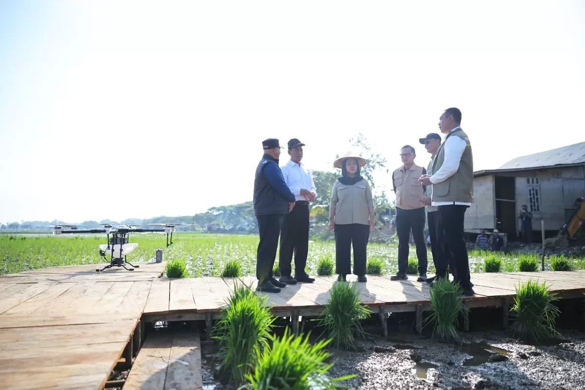 Mentan Pastikan Stok Beras di Aceh Tinggi