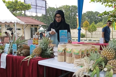Nanas Moris, Modal Kecil UMKM Kampar Menggerakkan Ekonomi