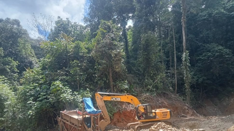 Kerugian Ekologis dan Ancaman Ekonomi: PETI Jadi Pemicu Utama Banjir Bandang di Pohuwato