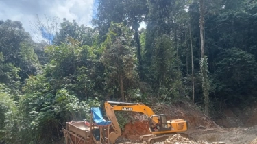 Kerugian Ekologis dan Ancaman Ekonomi: PETI Jadi Pemicu Utama Banjir Bandang di Pohuwato