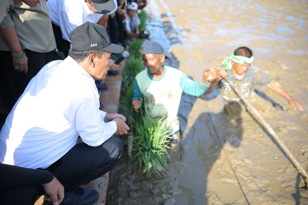 Ikut Perbaiki Sawah, Petani Aceh Digaji Rp 100.000 Per Hari