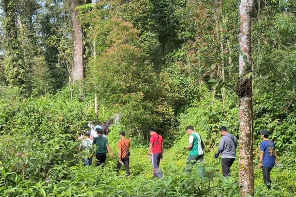 Sensasi Hiking di Hutan Baturraden, Diakhiri Berenang di Curug Tirtasela