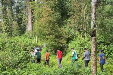 Sensasi Hiking di Hutan Baturraden, Diakhiri Berenang di Curug Tirtasela