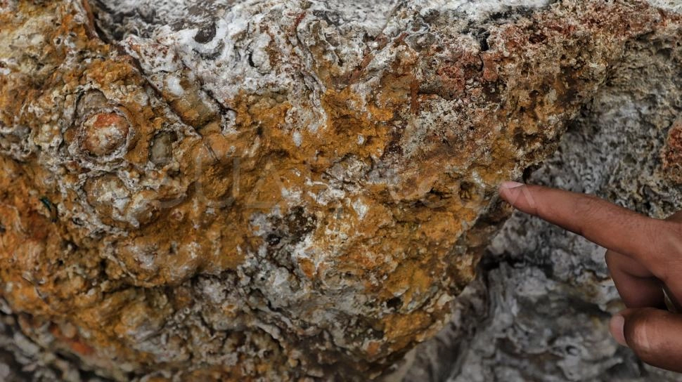 Harga Patokan Ekspor Tembaga dan Emas Melonjak Jelang Akhir Januari 2026