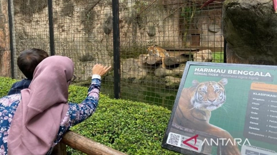 Penutupan Berkepanjangan Bandung Zoo Dinilai Picu Kebocoran PAD dan Praktik Tak Resmi