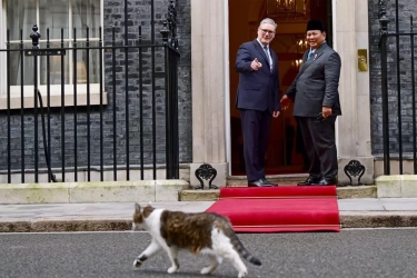 Momen Lucu Larry the Cat Lewat di Hadapan Prabowo dan PM Inggris, Auto Senyum