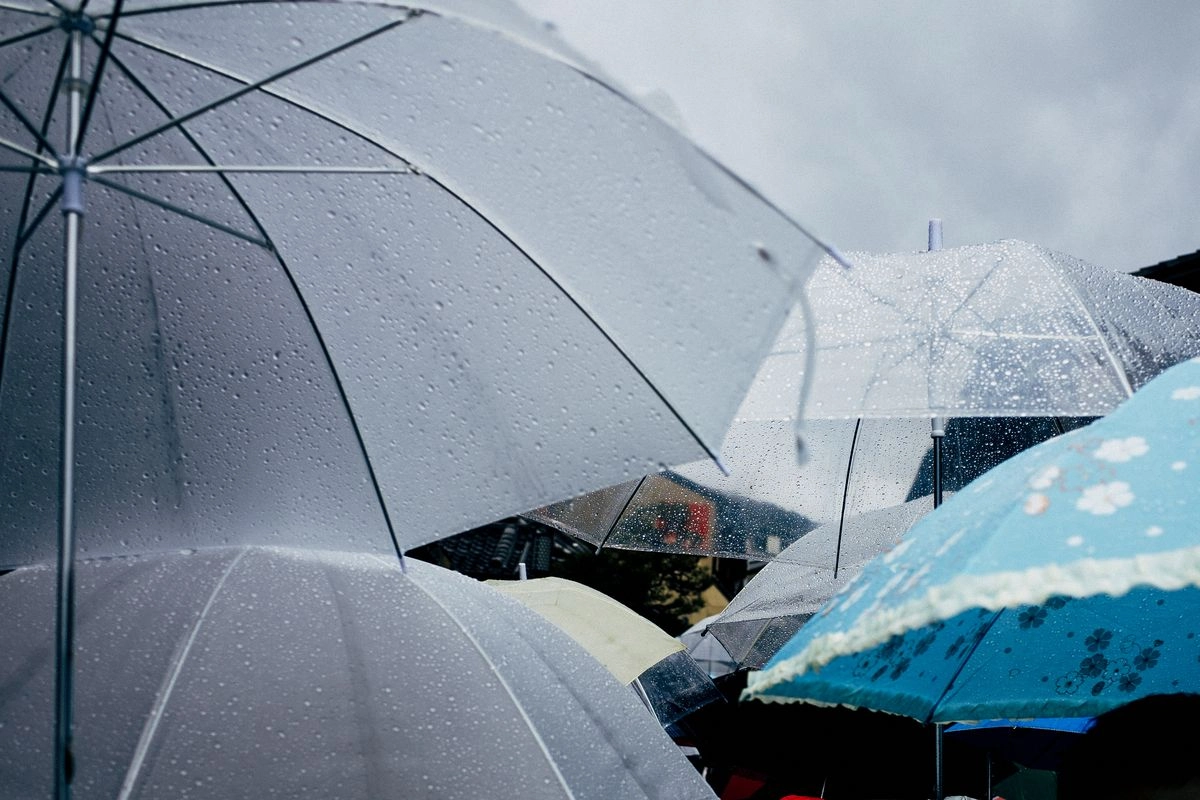 8 Makanan untuk Menghangatkan Tubuh di Musim Hujan