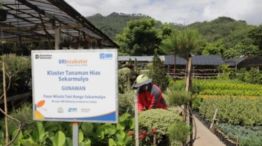 Perkuat Ekonomi Kerakyatan Berbasis Komunitas, BRI Berdayakan Lebih dari 42 Ribu Klaster Usaha