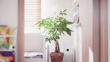 Udara Bersih di Rumah : Tips Praktis Menggunakan Air Purifier