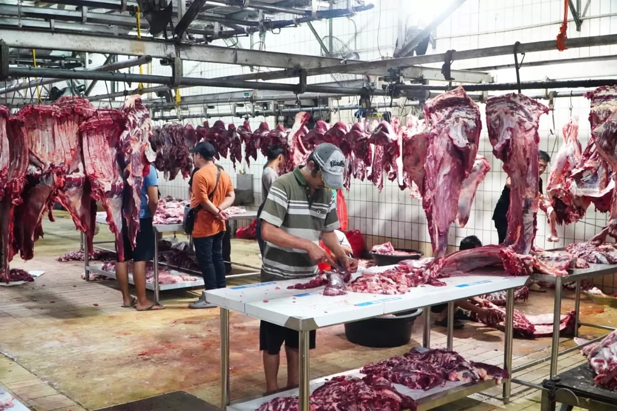Pemerintah Pastikan Harga Daging Sapi Stabil untuk Ramadan sampai Idulfitri