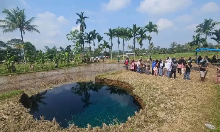 5 Tanda Awal Sinkhole yang Luput dari Perhatian Warga, Retakan Tanah Jadi Sinyal Munculnya Fenomena Ini
