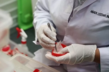 Saham RLCO Diproyeksi Terbang hingga Rp 80 Ribu, Samuel Sekuritas Pasang Target Fantastis