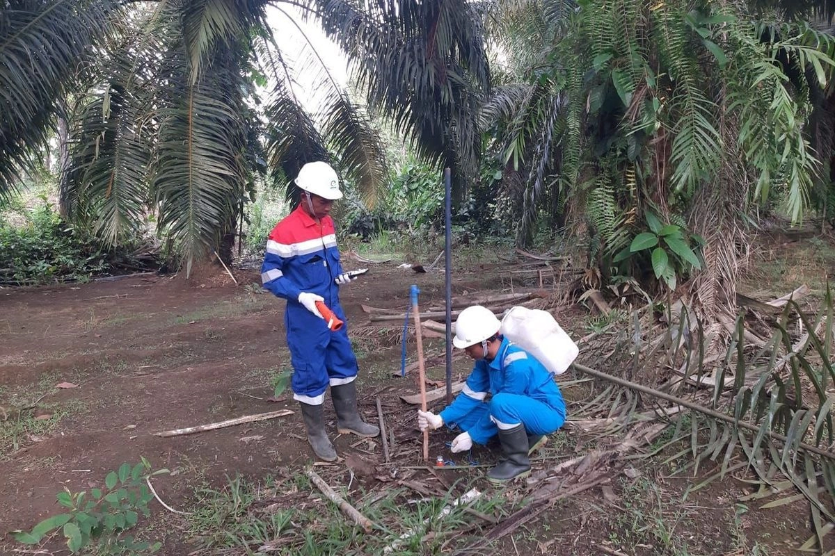 Tancap Gas dari Awal 2026, Elnusa Percepat Eksplorasi Migas di Indonesia Timur lewat Teknologi Canggih