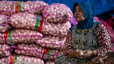 Harga Bawang Putih Naik, Mendagri Bunyikan Alarm Inflasi