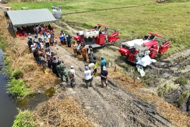 Cetak Sawah Merauke Tembus 40.000 Ha, Peran Masyarakat Adat Menguat