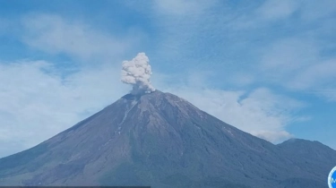 Aktivitas Semeru Kembali Meningkat, Dua Kali Erupsi di Kamis Pagi