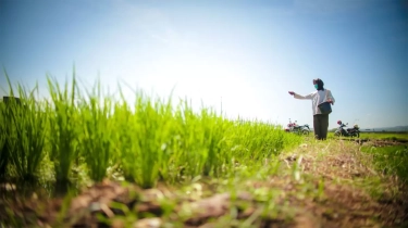 Waspadai Potensi Banjir Musim Hujan 2026, Kementan Perkuat Antisipasi dan Pendampingan Petani