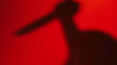 Fakta Baru Kasus Ibu Dibunuh Anak karena Tak Diberi Uang Rp39 Juta di Mataram, Pelaku Positif THC