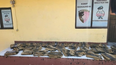 Terungkap! TNI AL Gagalkan Penyelundupan 445 Lembar Kulit Ular Piton di Bakauheni