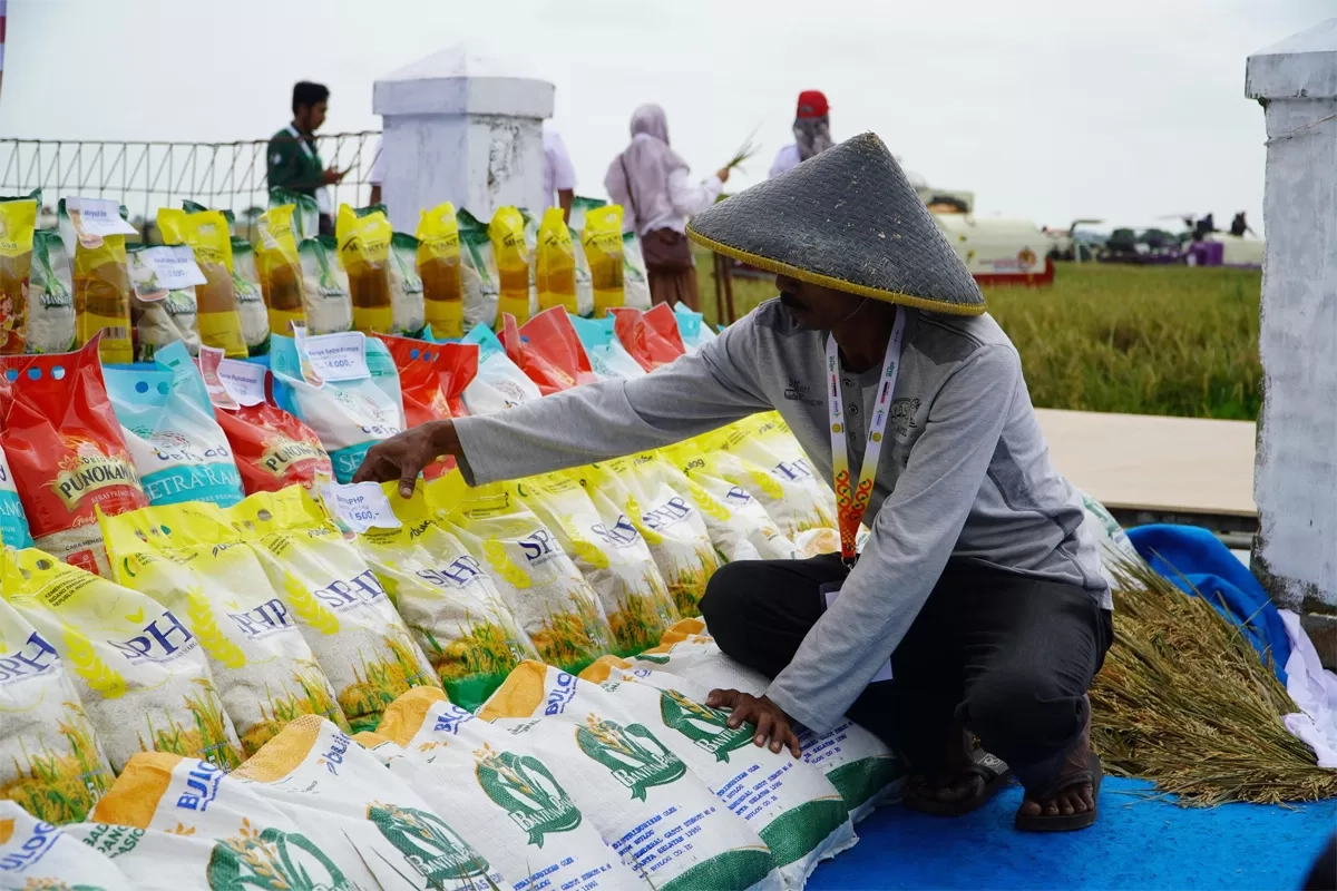 Pemerintah Pastikan Ketersediaan Bahan Pangan Pokok Aman dan Tercukupi Jelang Ramadan dan Idulfitri