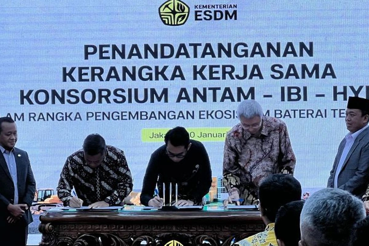 Dari EV ke PLTS, Konsorsium Huayou Perluas Peran Industri Baterai Nasional