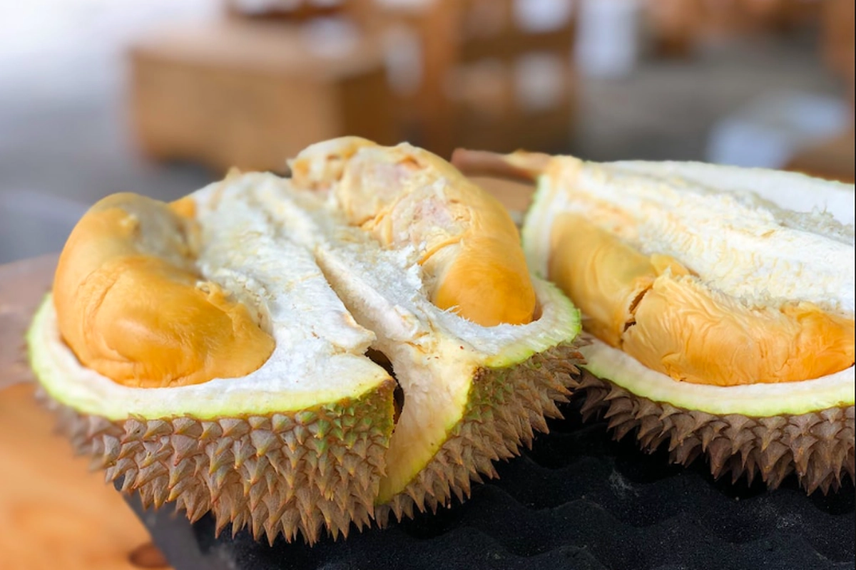 Pasar Durian Digelar di Kebun Raya Bogor, Bisa Beli Pakai Voucher Diskon