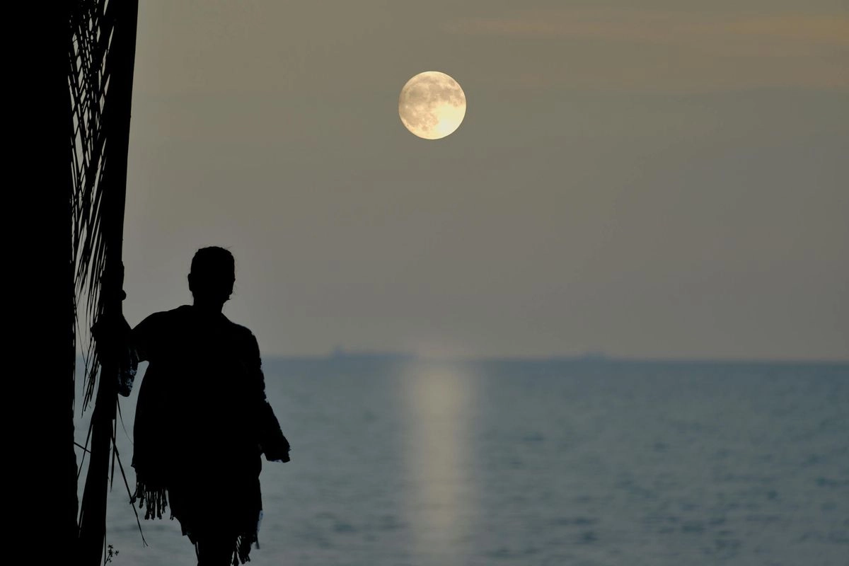 Ramalan Zodiak Februari 2026, Bulan Purnama Leo Bawa Perubahan Besar Cinta dan Karier