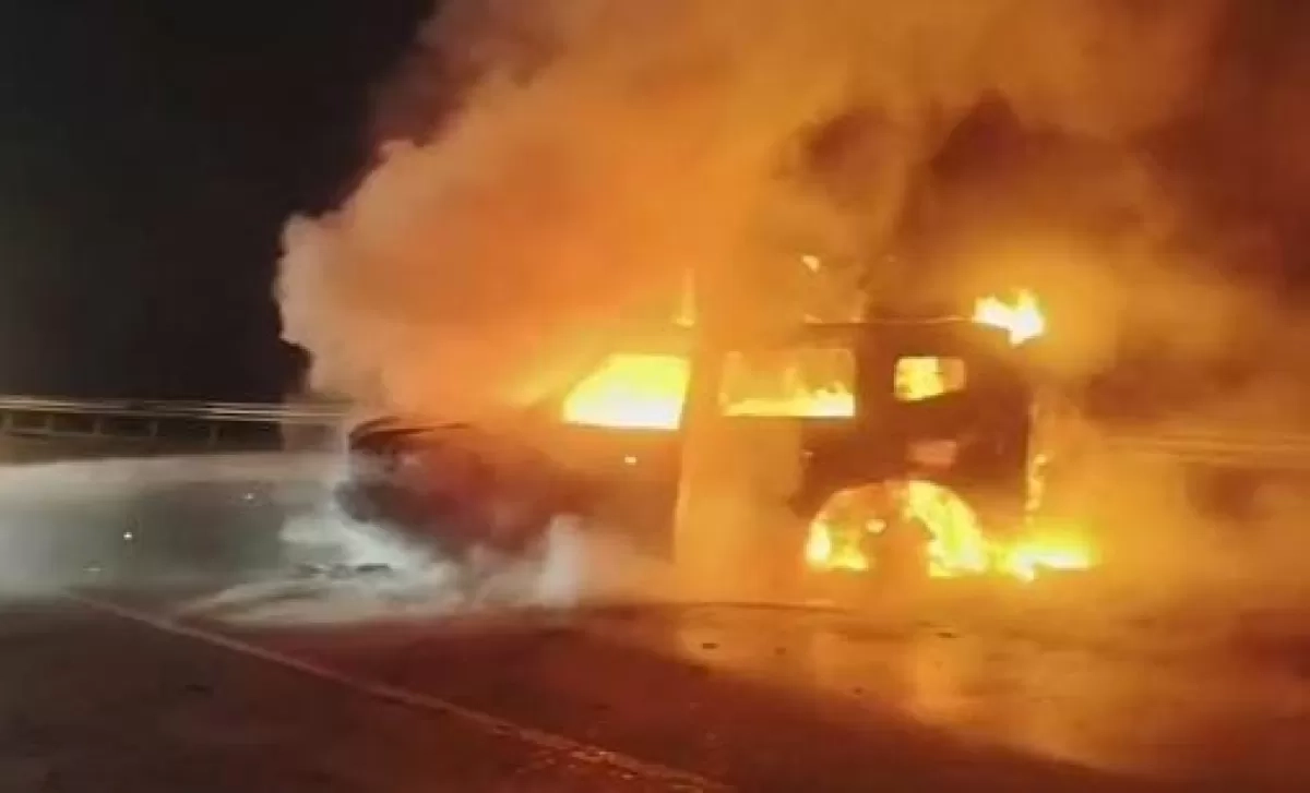 Kronologi SUV Jetour T2 yang Terbakar di Tol Jagorawi, Aksi Salip Bahu Jalan Diduga Jadi Pemicu