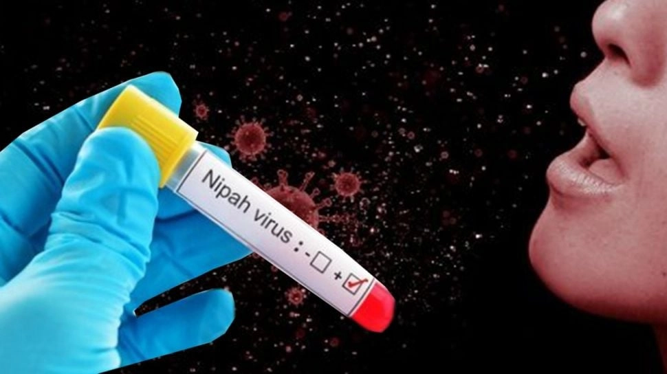 Waspada Virus Nipah Mengintai! Kemenkes Ingatkan Jangan Konsumsi Nira Aren Segar dari Pohon