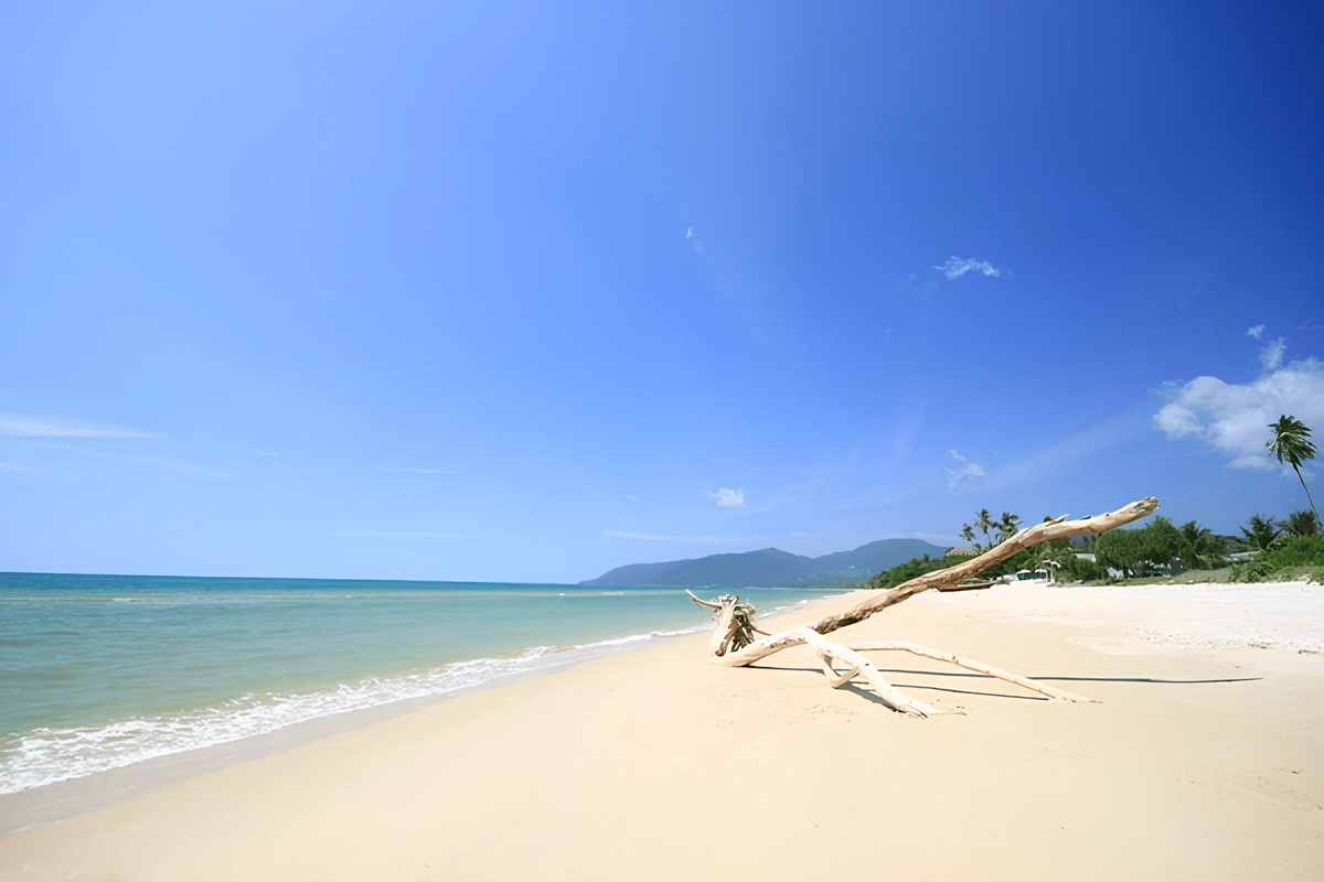 Aksi Heroik Bocah 13 Tahun, Berenang 4 Jam Selamatkan Keluarganya yang Tersapu Ombak