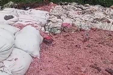 Cacahan Uang Rupiah Ditemukan di TPS Bekasi, BI Lakukan Penelusuran