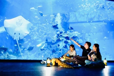 Long Weekend Februari-Maret, Ini 7 Wisata Edukasi Seru untuk Keluarga