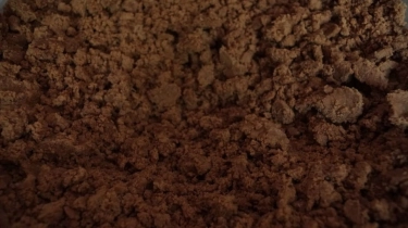 Elegi Gula Semut, Asa Baru Ekonomi Hijau di Jantung Sabu Raijua