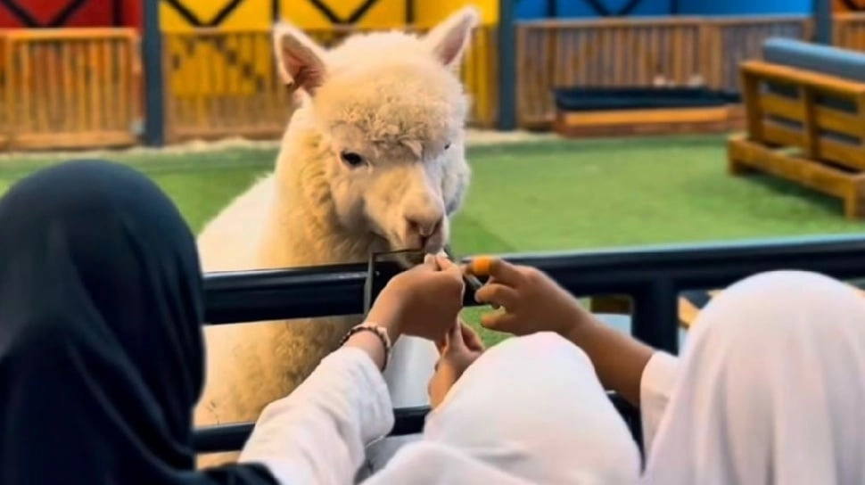Pengalaman Langka di Jakarta: Anak Bahagia Main Bowling dan 'Ngopi' Dikelilingi Rusa!