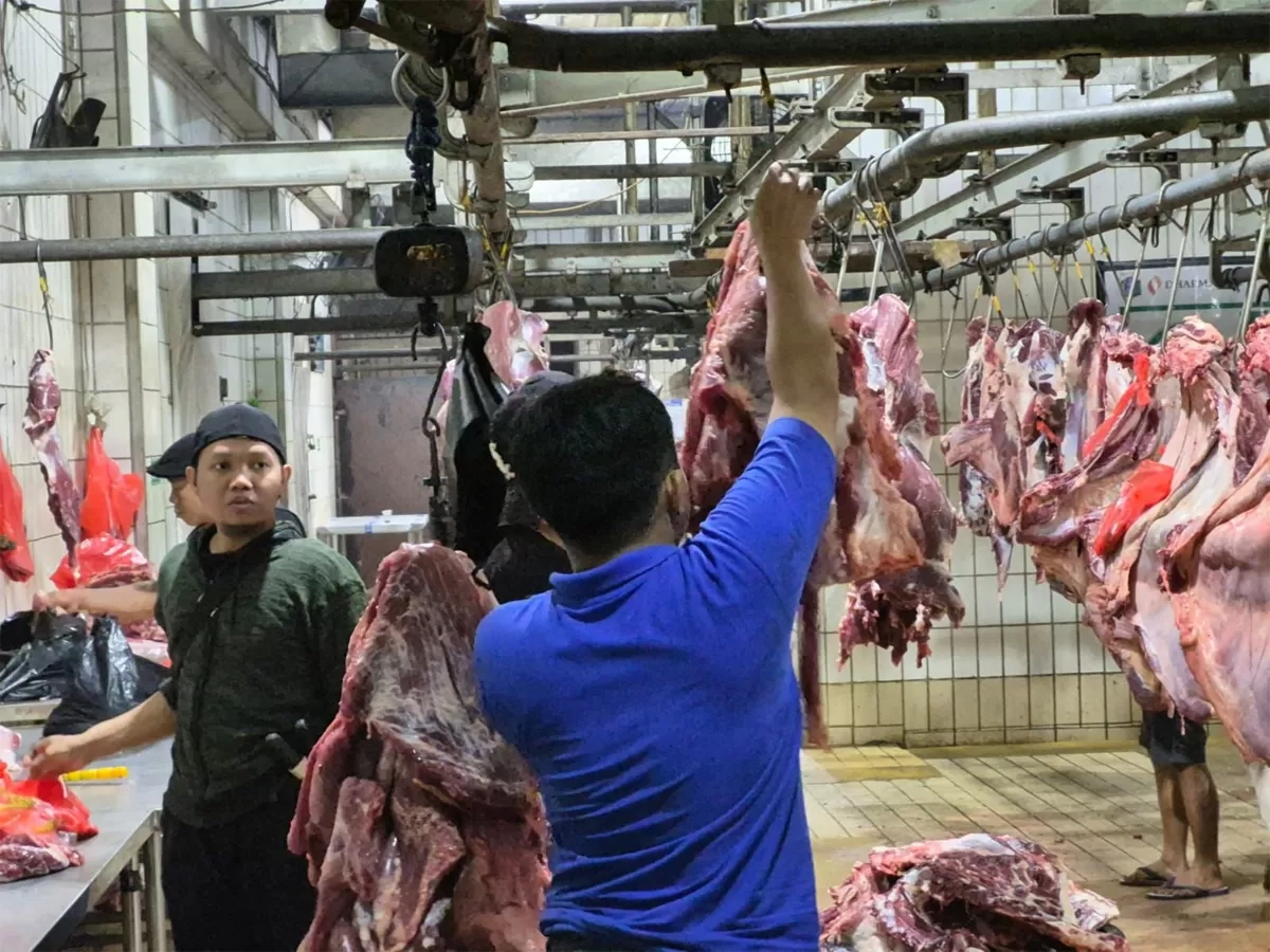 Pemerintah Pastikan Harga Sapi Hidup Stabil Jelang Ramadan dan Idulfitri, Pelaku Usaha: Kami Ikuti Aturan