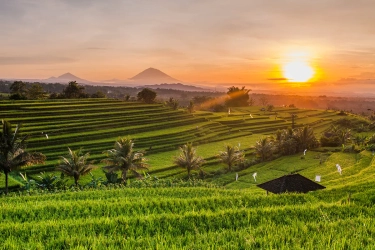 5 Desa Wisata di Bali dengan Budaya yang Kuat, Cocok untuk Liburan Bareng Anak