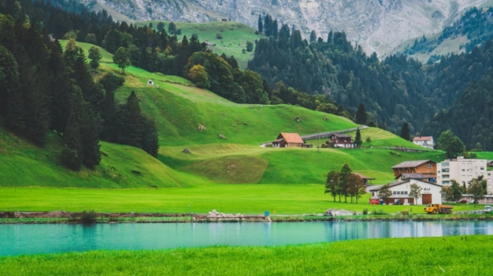 Karakter Orang yang Suka Warna Hijau, Plus Sifat Positif dan Negatifnya