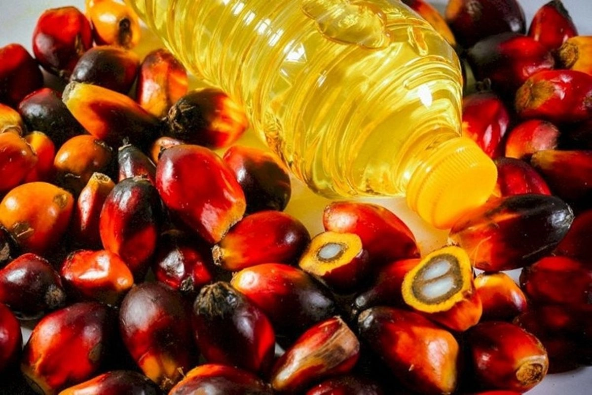 Impor Sawit China Melambat, Alternatif Lebih Murah Kian Dominan