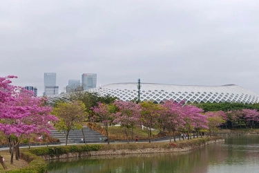 Menjajal Kamera 200 MP HP Realme 