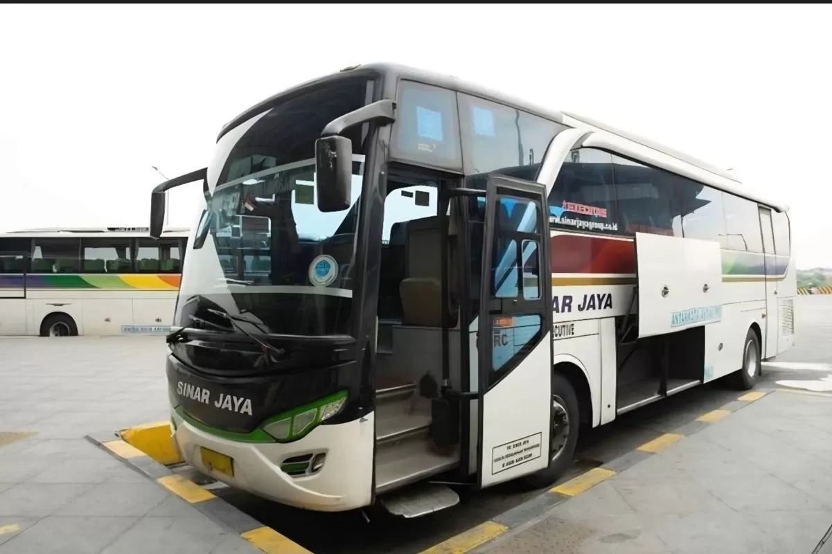 7 Pilihan Bus Jakarta–Pasuruan: Jadwal Konsisten, Fasilitas Nyaman untuk Perjalanan Jauh
