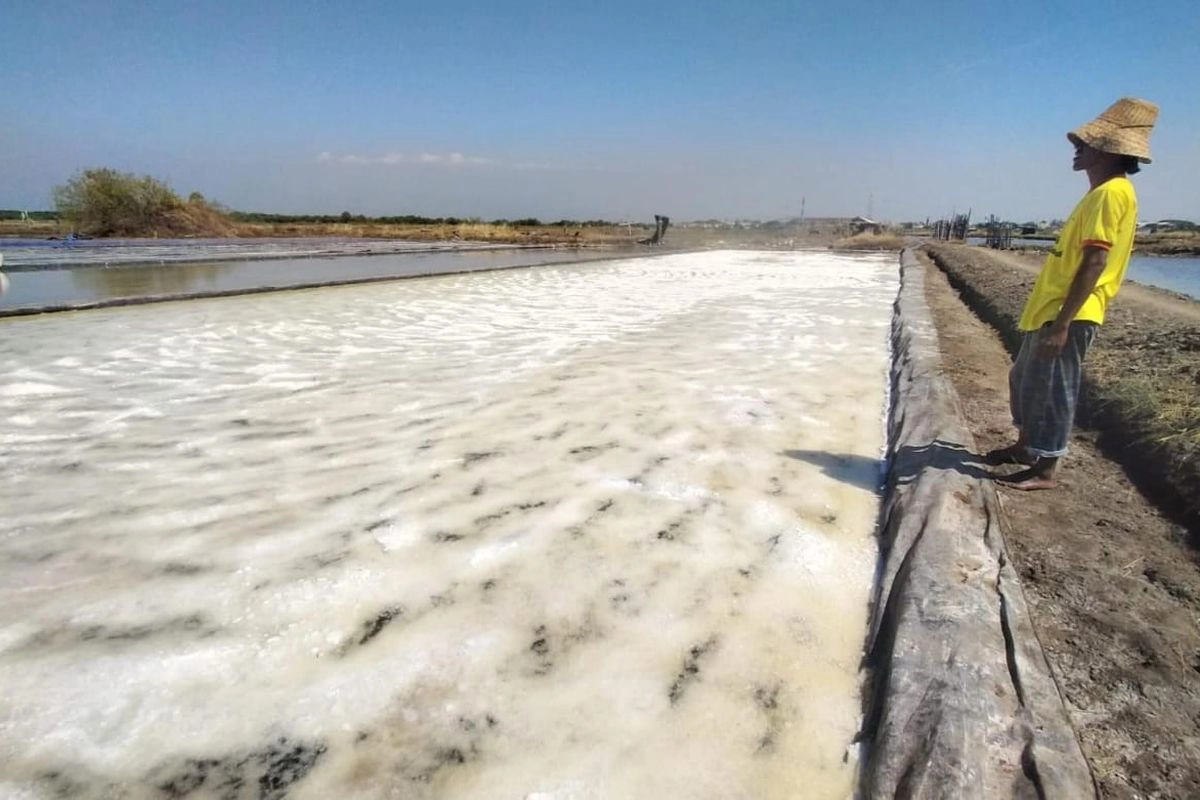 PT Garam Jajaki 7 Proyek Pabrik Garam Senilai Rp 10 Triliun