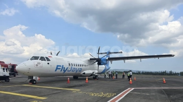 Flyjaya Resmi Layani Rute Morowali, Cek Link Tiketnya di Sini