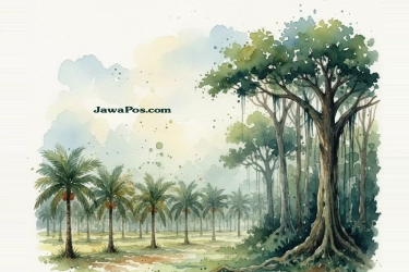 Petani Minta Penertiban Kebun Sawit Rakyat di Dalam Kawasan Hutan Tidak dengan Penyitaan