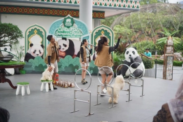 Berbuka Puasa Sambil Wisata, Tempat Ini Hadirkan Iftar Bertema Cerita Bayi Panda Rio
