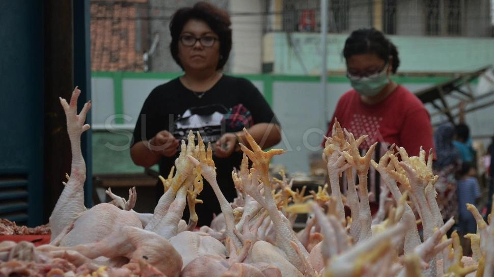 Jelang Ramadan, Mendag Budi Santoso Pastikan Harga Ayam Ras Masih Terkendali