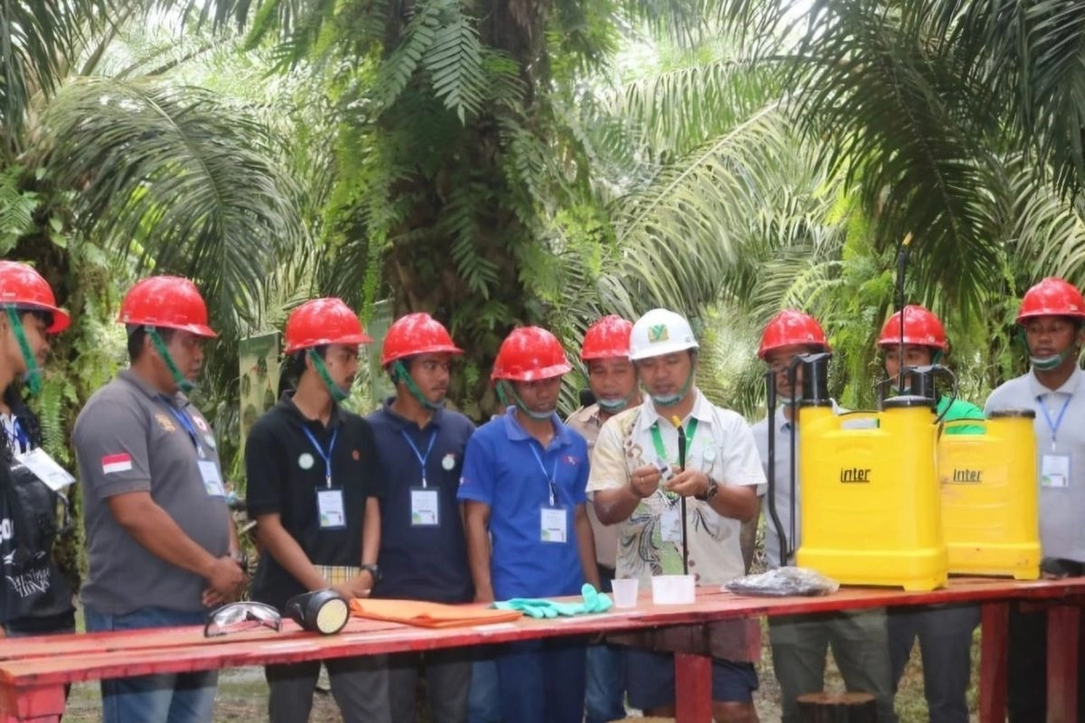 Cerita Petani Sawit, ''Boncos'' Panen gara-gara Tertipu Bibit ''Abal-abal''