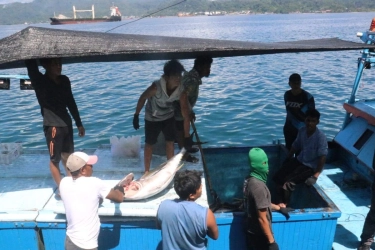 Portugal Lirik Komoditas Perikanan Maluku, Peluang Menjanjikan