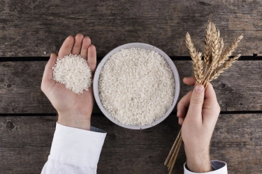 RI Bakal Impor 1.000 Ton Beras AS, Pemerintah Sebut Tak Signifikan